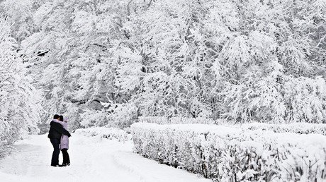 ¿Amor a primera vista?: científicos revelan que los genes influyen en la elección de la pareja