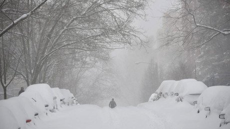 ‘Snowzilla’, la madre de todas las tormentas: Jonas inunda la Red de imágenes curiosas