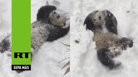 Un residente de Washington es el más feliz en medio de la tormenta Jonas