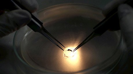 ¿Por qué el zika no inquieta a Chile ni a Canadá?