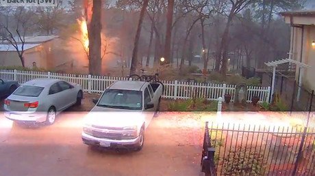 Un rayo hace añicos un árbol en un abrir y cerrar los ojos