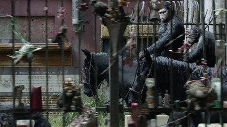 ¿Cuál sería la especie dominante en la Tierra si los humanos se extinguieran?