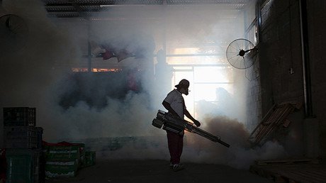 Alerta sanitaria por el alcance del zika: ¿Podría ser transmitido por el mosquito común?