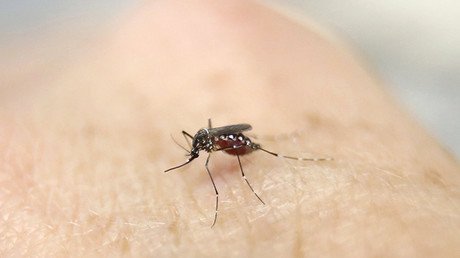 Dos casos apuntan a una transmisión sexual del zika