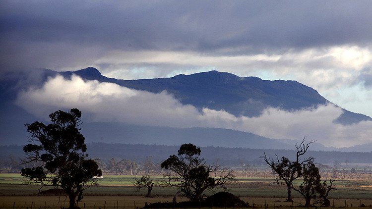 Cómo una tragedia global está devastando una "maravilla ecológica"