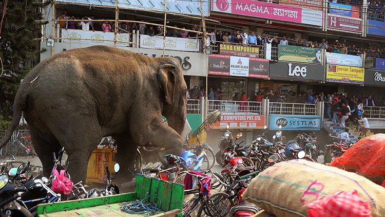 13 curiosas fotos que marcaron la semana