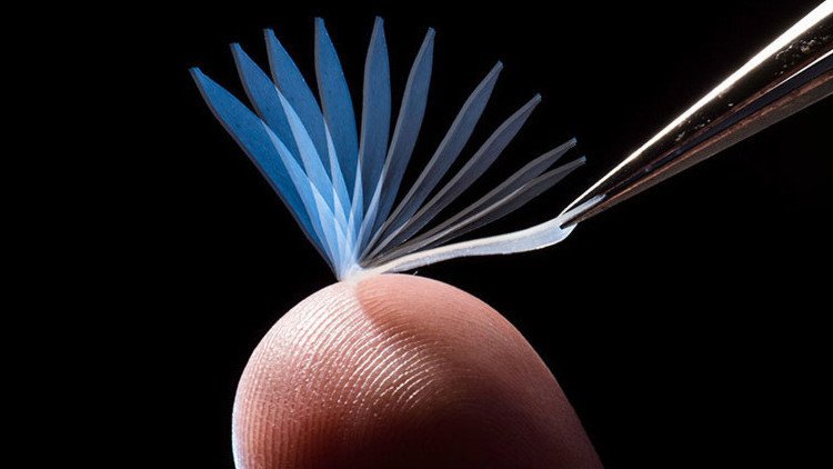 Crean un material elástico que puede mover hasta 1.000 veces su masa