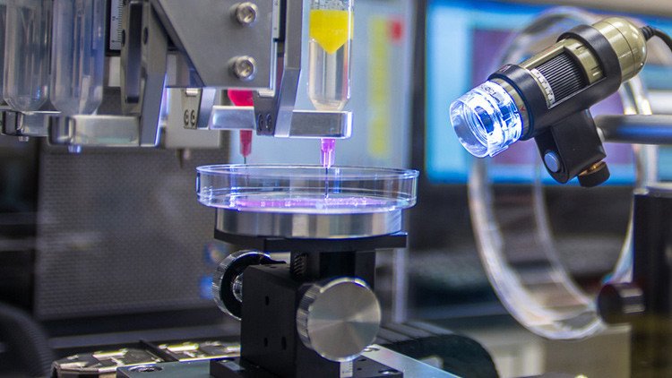 Los órganos fabricados con impresoras 3D son ya una realidad 