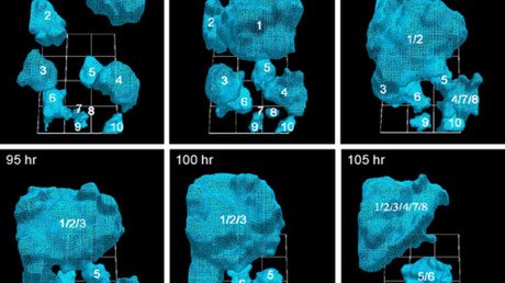 Video aterrador: Descubre cómo crece un tumor canceroso en 3D