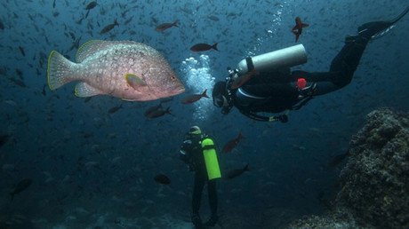 Majestuoso y estremecedor: imágenes que le harán temer al océano