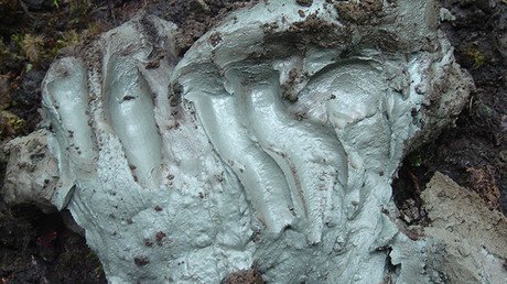 Un remedio indígena podría llegar donde los antibióticos ya fallan