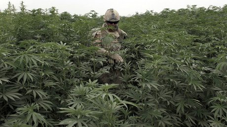 "Un holocausto impulsado por las drogas": ¿Quién da poder a los narcos millonarios latinoamericanos?