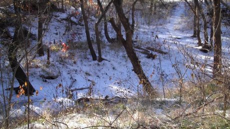 ¿Ve al infante de Marina camuflado en estas imágenes?