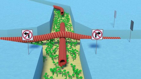 Crean una 'biocomputadora' que consume menos energía a partir de un compuesto orgánico