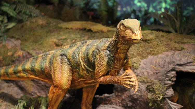 Viaje a la 'zona cero' de los dinosaurios: Perforarán el cráter del asteroide que los extinguió