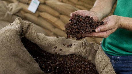 Dos grandes empresas de café admiten el riesgo del trabajo 'esclavo' en su cadena de suministro