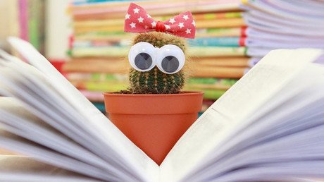 Test: ¿Está seguro de que sabe lo que dice?