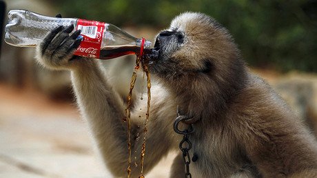 ¿Cuántos refrescos gaseosos podemos beber sin que nos perjudiquen la salud? 