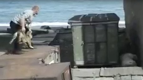 La crueldad no conoce límites: Arroja un perro a un oso polar (FUERTES IMÁGENES)