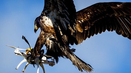 Las imágenes más singulares que nos dejaron los últimos siete días