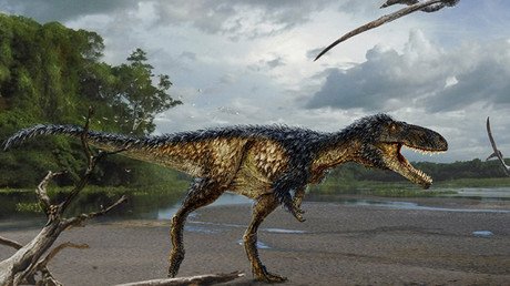 El hallazgo de un nuevo tiranosaurio ayuda a comprender a los mayores depredadores de la Tierra