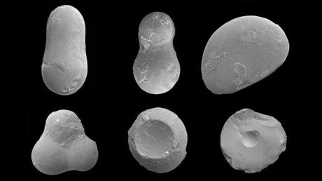Encuentran en Colombia restos del meteorito que hizo desaparecer a los dinosaurios