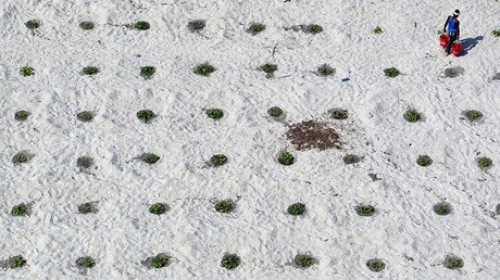 Las imágenes que reflejan el tono de la semana