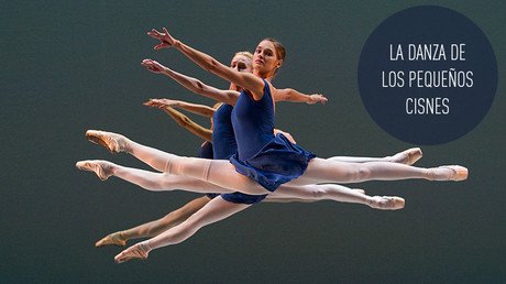 La danza de los pequeños cisnes 