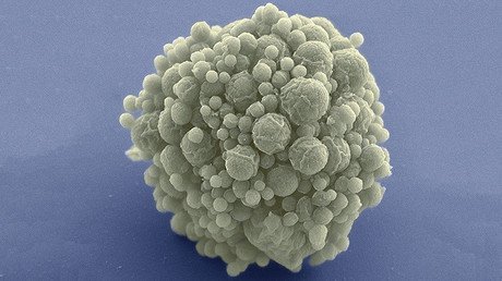 Científicos crean un microbio con la menor cantidad de genes y explican por qué es importante