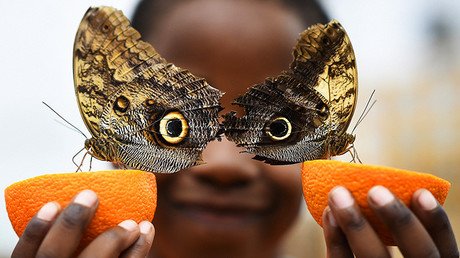 Las imágenes más impactantes y curiosas que marcaron la semana