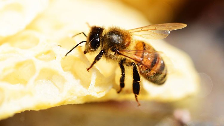 Cómo una niña de 11 años convirtió su miedo en un negocio millonario