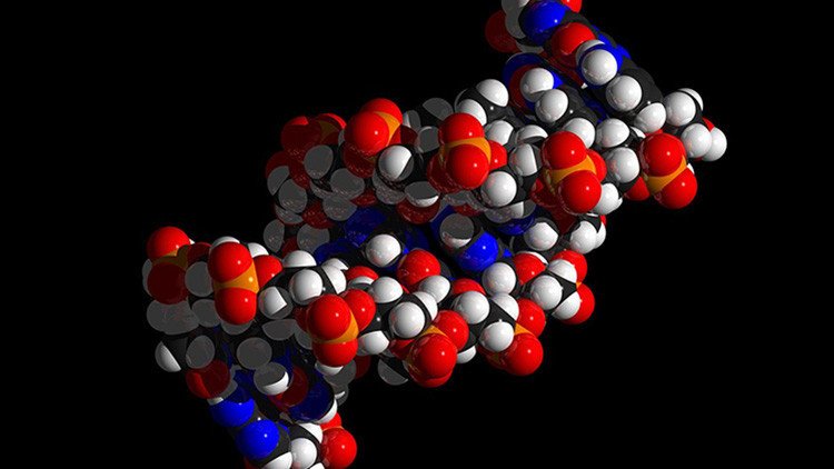 El archivo 'invisible': Descubren cómo almacenar y recuperar imágenes digitales en moléculas de ADN 
