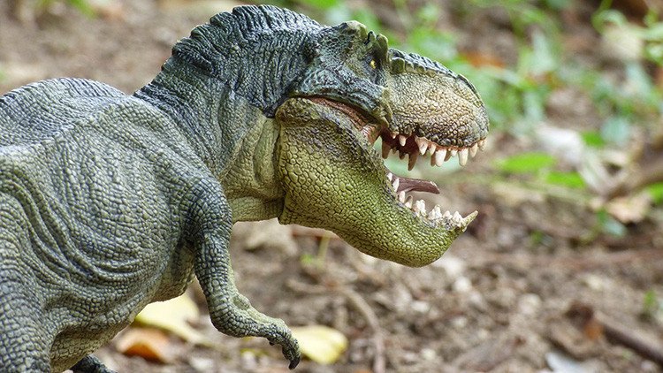 ¿Un asteroide no hizo desaparecer a los dinosaurios? Los científicos arrojan luz sobre su extinción