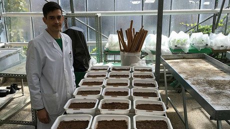 Fuga de talentos: Tras ser rechazado en España, un joven biólogo recibe una beca en Princeton