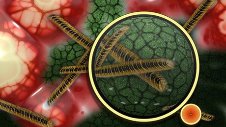 ¿Más cerca de la cura del cáncer?: Los científicos resuelven la incógnita de los 'tumores-vampiro'