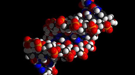 El archivo 'invisible': Descubren cómo almacenar y recuperar imágenes digitales en moléculas de ADN