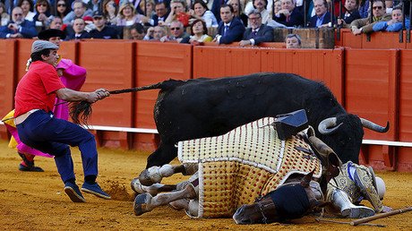 Una semana en 12 pintorescas imágenes 