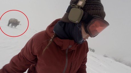 ¿Sucedió de veras?: Un oso persigue a una snowboardista