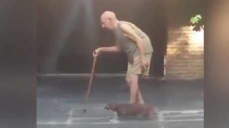 El perro más paciente del mundo