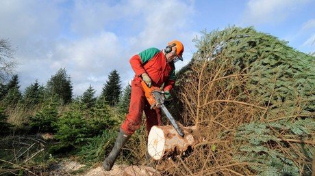 Revelado: Los mejores y peores trabajos del 2016