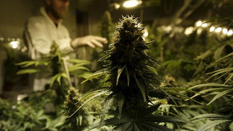 Más de 1000 personalidades mundiales piden un giro en la "desastrosa" guerra contra las drogas