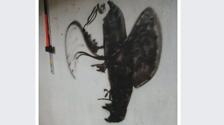 ¿Una silueta o un pingüino?: Esta ilusión óptica deja perplejos a usuarios de Facebook