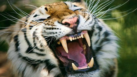 Las fotos más impactantes y curiosas que nos dejó la semana