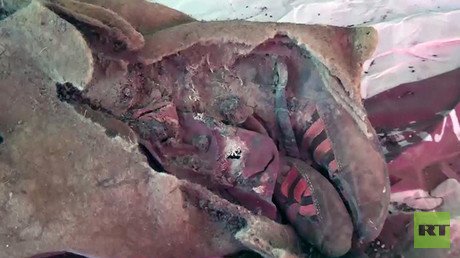 ¿La prueba de los viajes en el tiempo? Una momia de 1.500 años lleva unas Adidas (VIDEO)