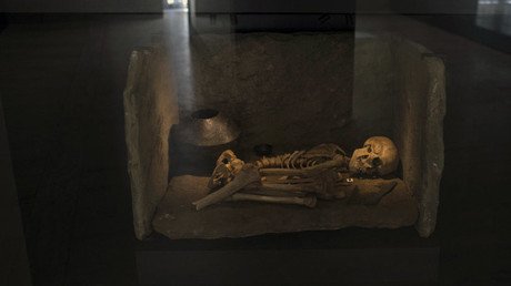 La mitad de los hombres de Europa occidental descienden de un 'rey' de la Edad de Bronce