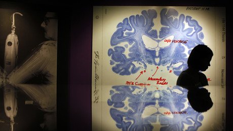 Los neurobiólogos descubren las posibles causas del alcoholismo