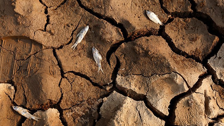 "Avanza más rápido de lo previsto": Transformaciones ambientales en Latinoamérica