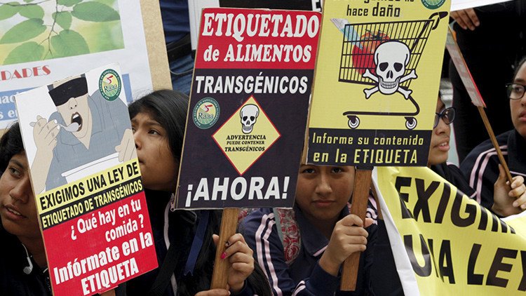 Bayer busca comprar Monsanto. ¿Por qúe es importante?