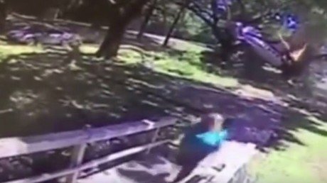 Estrella su avioneta y logra escapar entre ramas y llamas