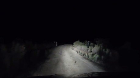 Esto solo te puede pasar en Australia 